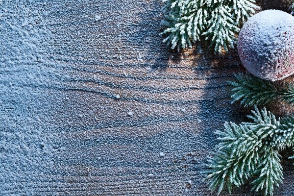 Frost on New Year s needles of spruce