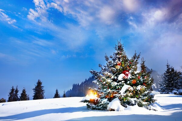 Árbol de Navidad vestido en el bosque nevado