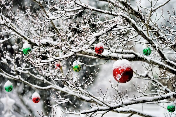 Boules rouges et vertes pour Noël en hiver