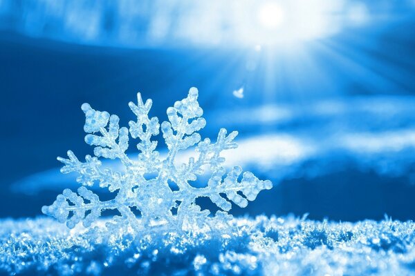 Copo de nieve frío en las heladas de invierno para Navidad