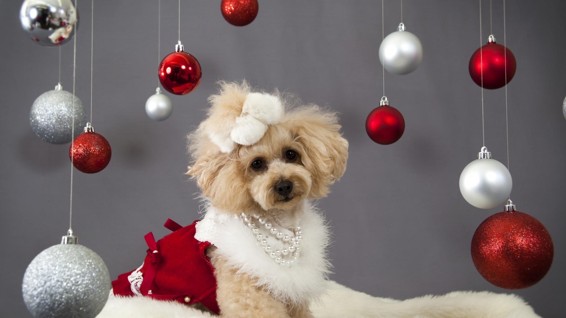 cães natal inverno bola brilha merry decoração neve feriado esfera pulseira ano novo presente