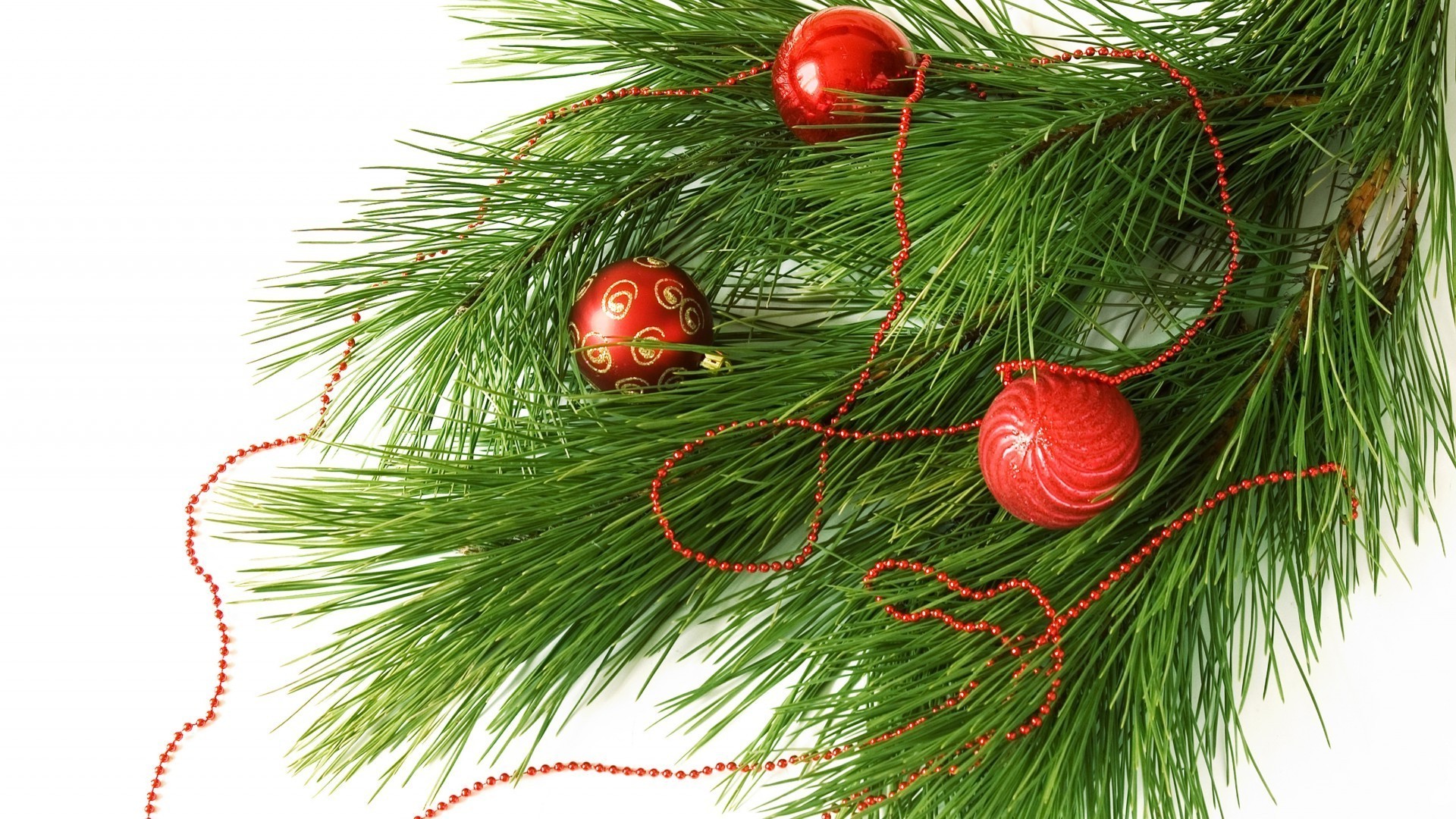 nouvel an noël pin décoration hiver vacances saison evergreen sapin arbre aiguille sapin boule bureau carte conifères brille branche couleur isolé