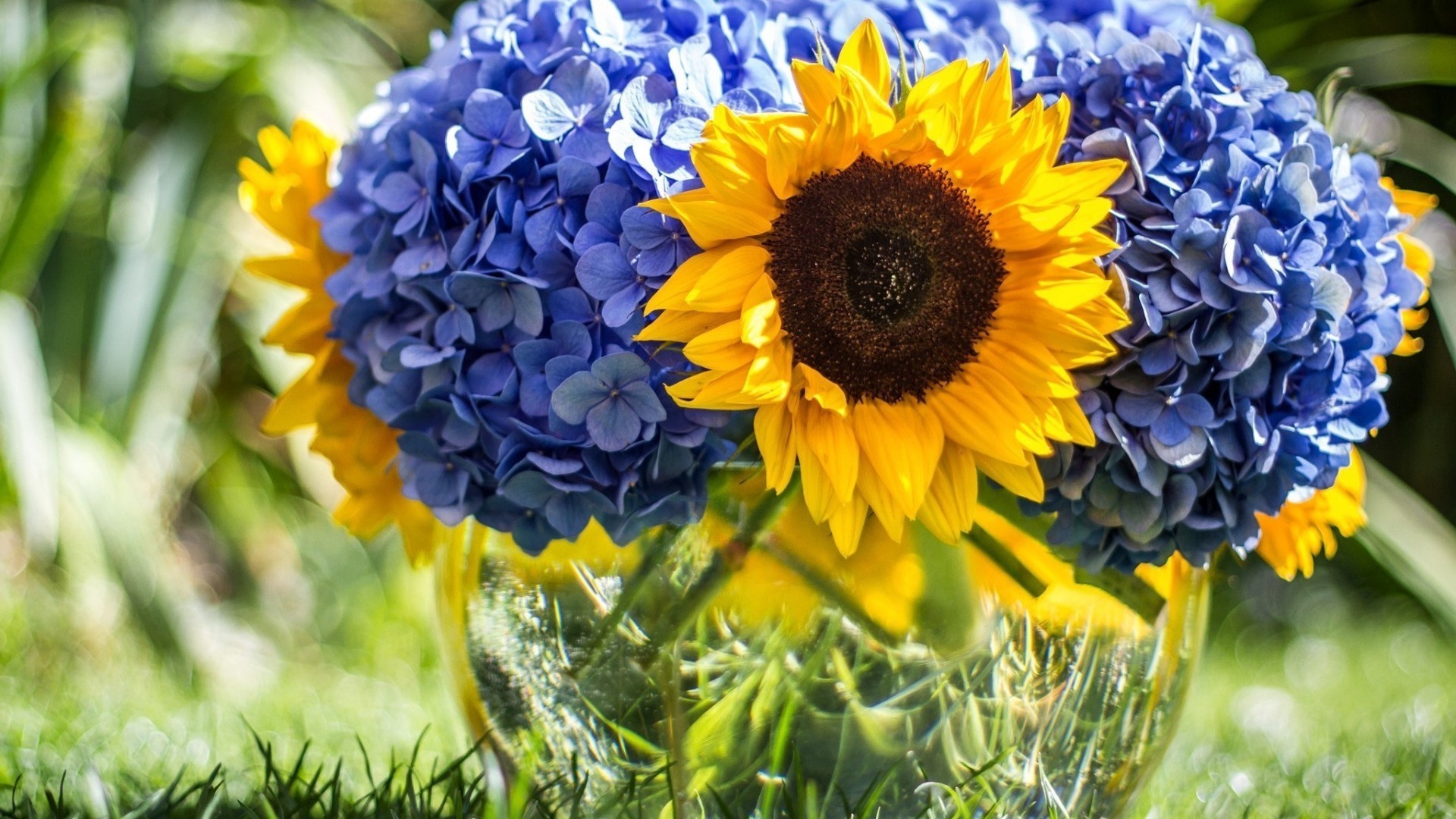 bouquet de fleurs nature flore été fleur jardin feuille lumineux floral pétale champ couleur saison bluming belle foin gros plan croissance ensoleillé beau temps