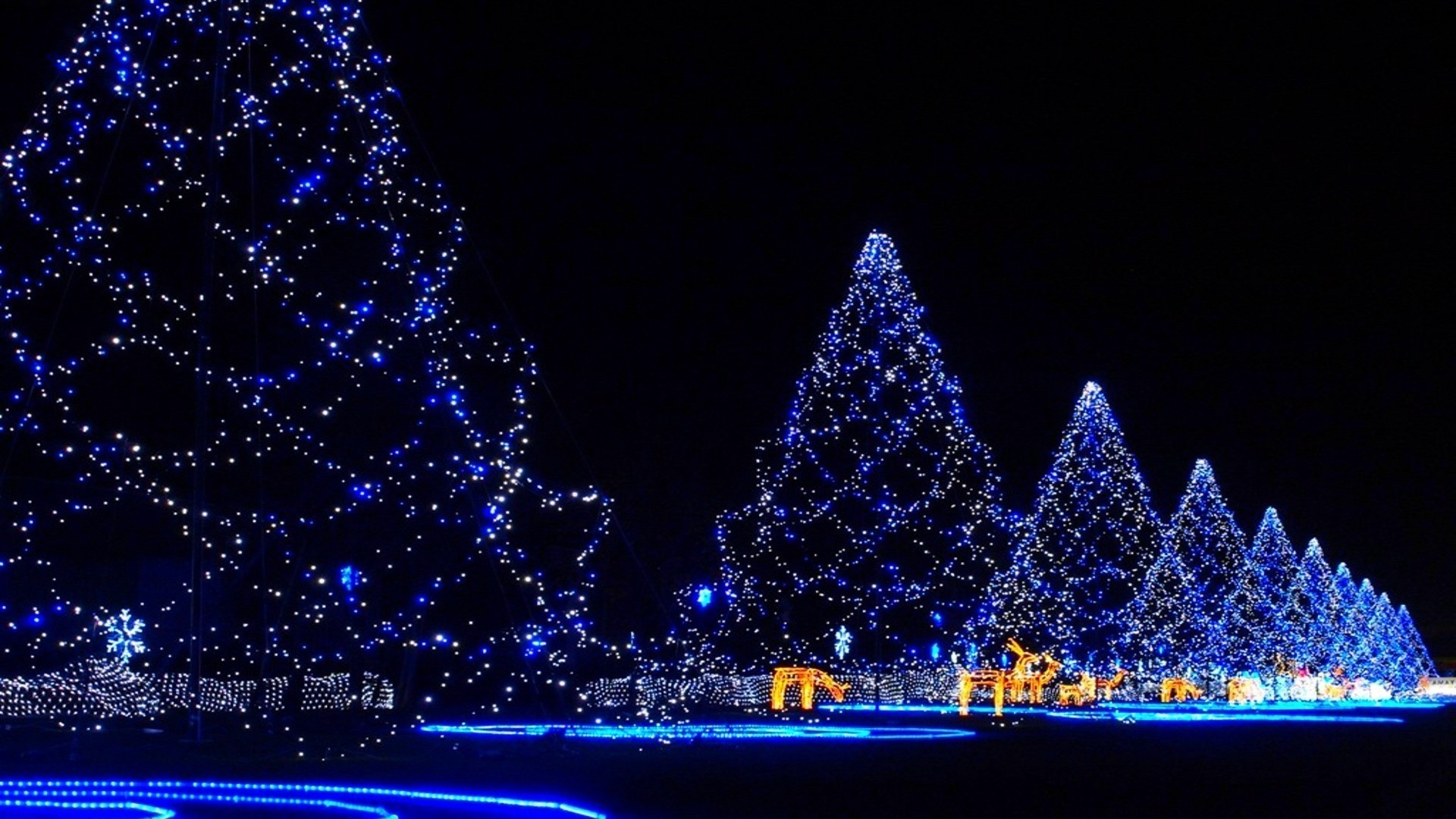 año nuevo retroiluminado navidad oscuro luz invierno noche brillante desenfoque brilla brillan arquitectura