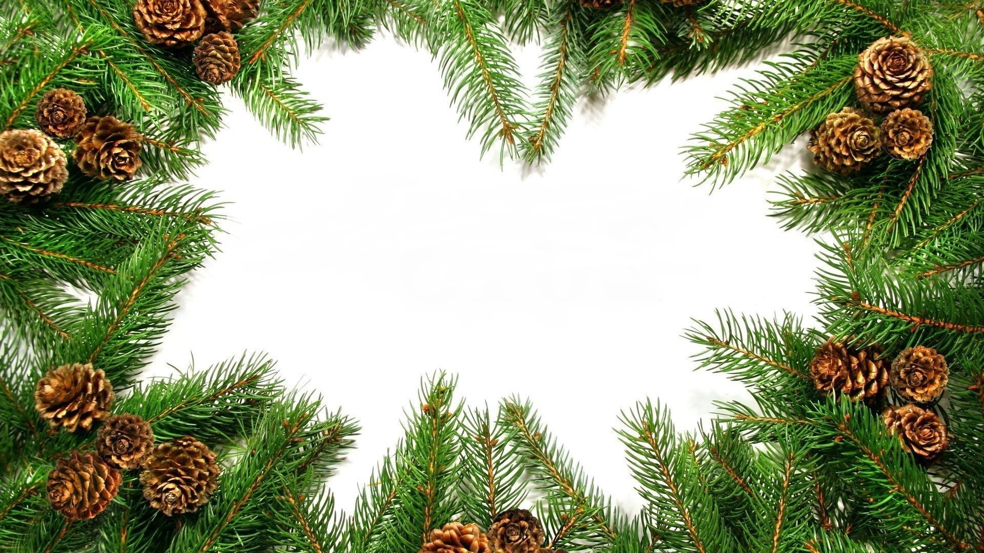 neujahr weihnachten tanne kiefer winter tanne kegel evergreen baum nadelbaum dekoration nadelbaum urlaub merry nadel ball zweig hängen saison eva kugel