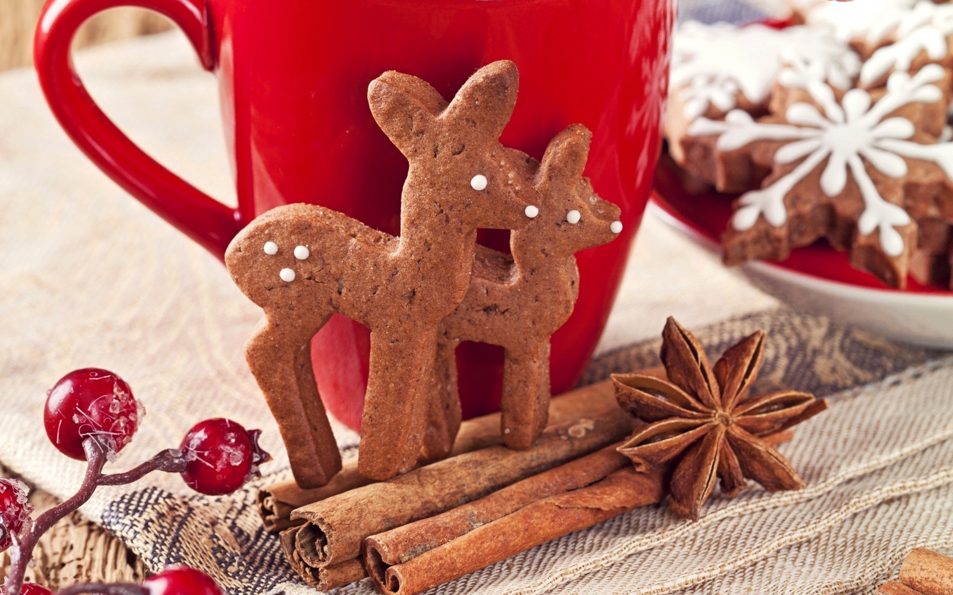 noël cannelle anis apparition pain d épice hiver biscuits badiane alimentaire doux épices chocolat décoration sucre chaud cuisson traditionnel maison bonbons