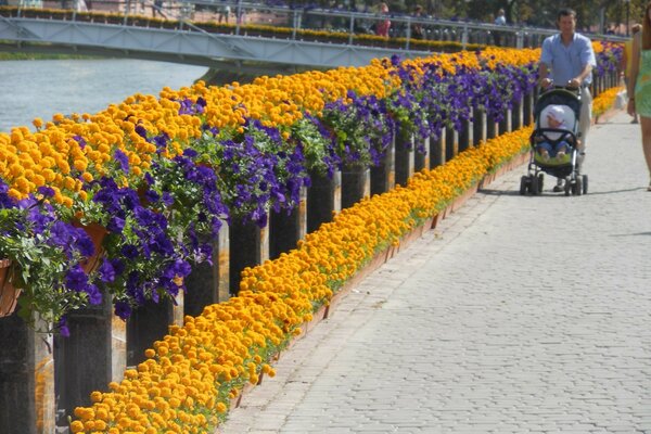 Allée des fleurs sur le front de mer de la ville