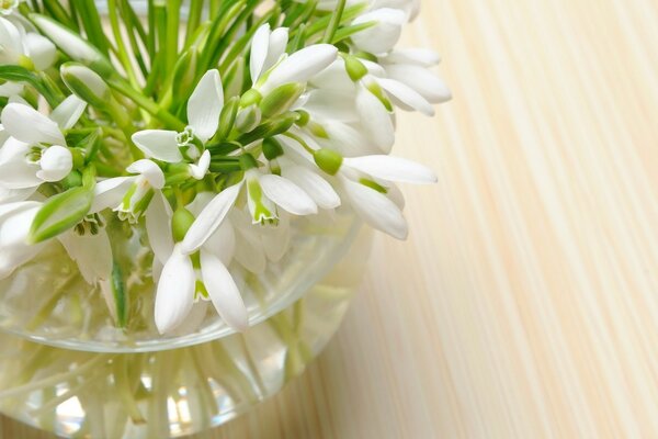 Ramo de flores delicadas en un jarrón