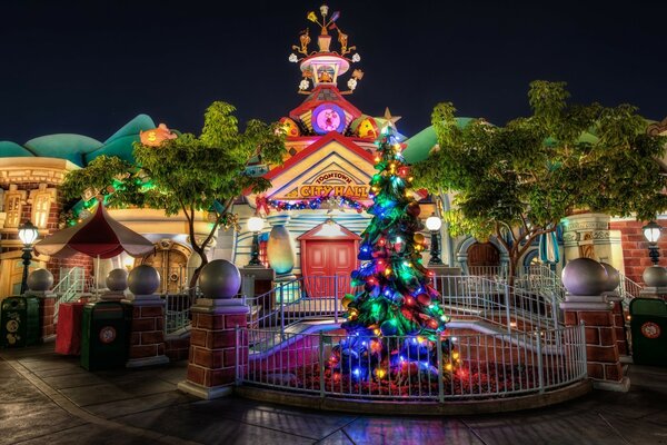 Albero di Natale nel parco