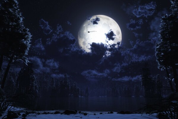 The white moon illuminates the winter forest