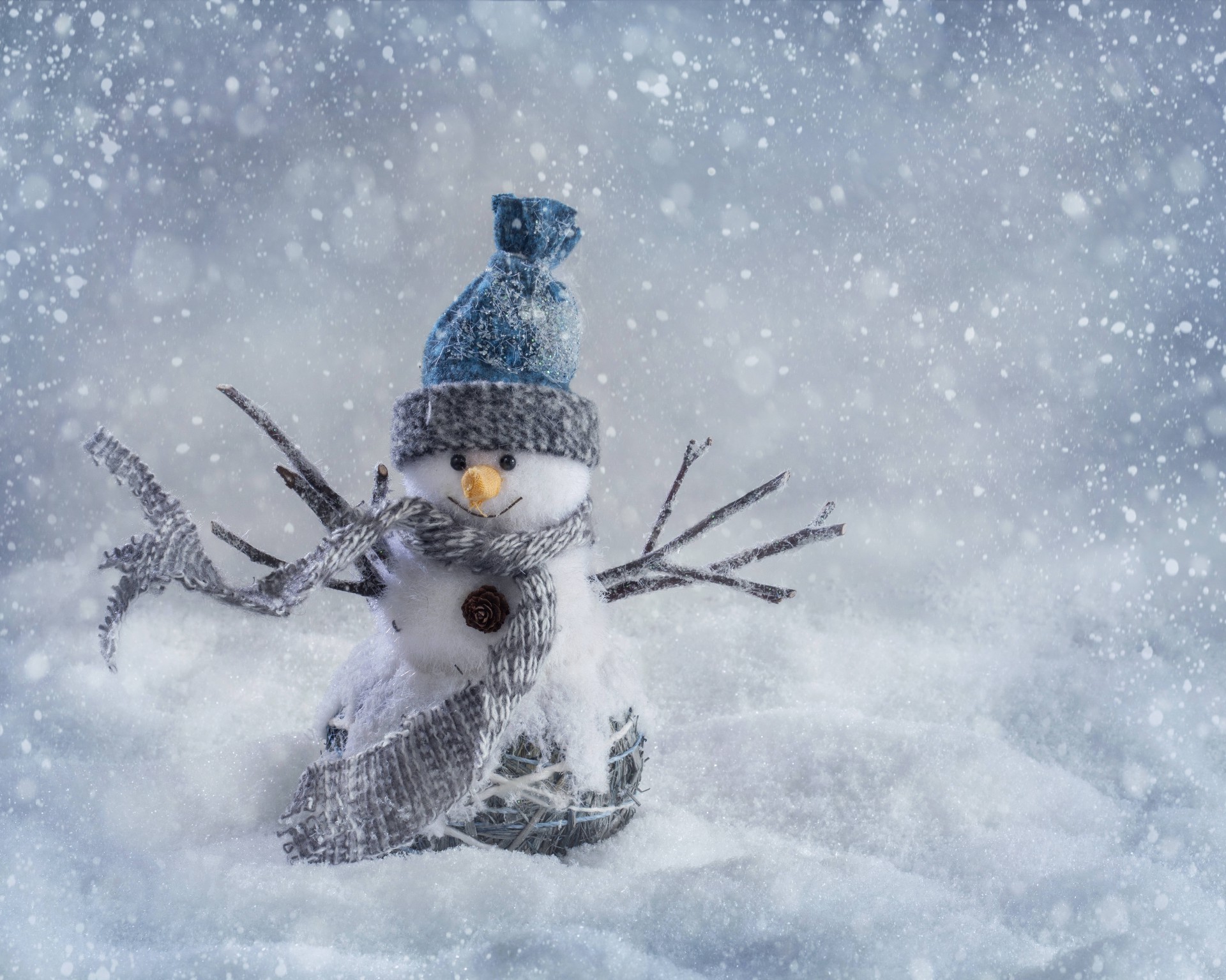 nouvel an hiver neige froid gel nature glace congelé noël flocon de neige neige-blanc à l extérieur ciel givré saison météo oiseau plaisir