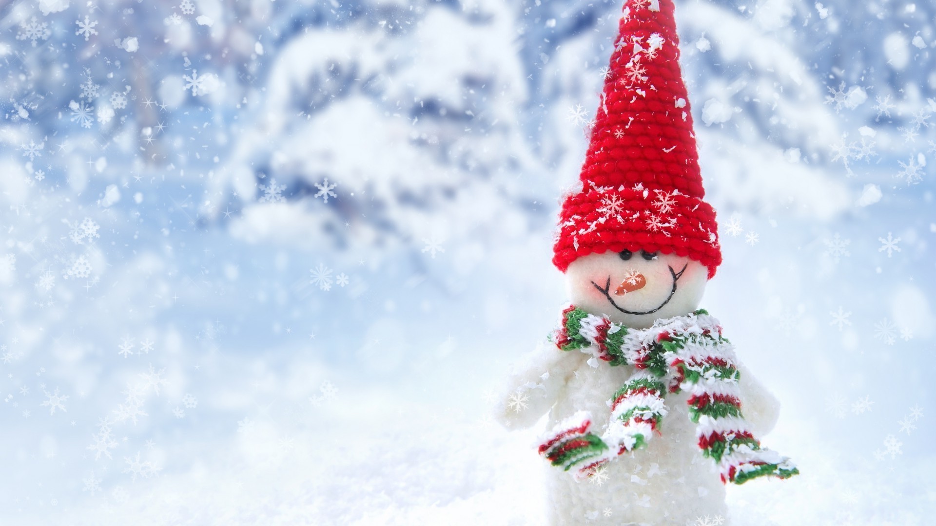 neujahr winter weihnachten schnee merry urlaub schneeflocke jahreszeit himmel frost kälte dekoration baum urlaub vergnügen traditionelle abdeckung geschenk eva