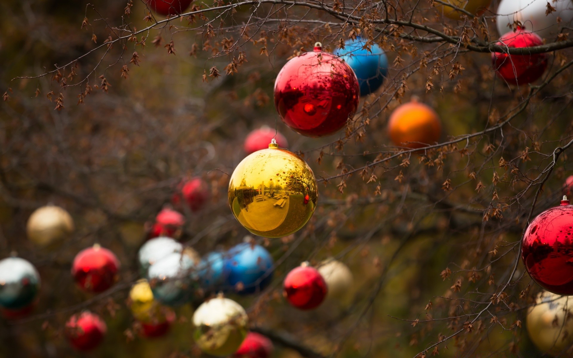 natal inverno árvore feriado bola cor ano novo decoração