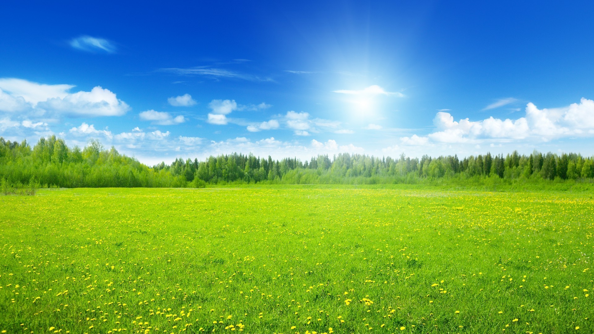 campi prati e valli erba fieno estate campo rurale natura paesaggio pascolo campagna bel tempo sole prato idillio pascolo terreno fattoria cielo luminoso