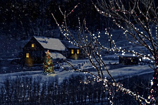 Branches d arbres lumineux et maisons de nuit en hiver