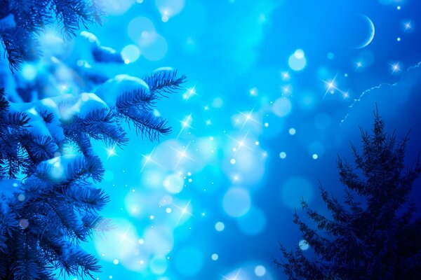 Lumière bleue à travers les sapins de neige