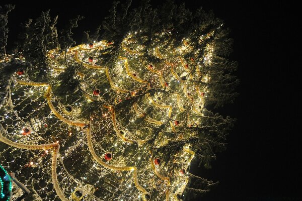 Arbre de Noël sur la place de la ville , décoré de jouets et de guirlandes