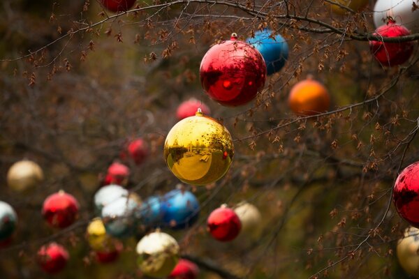 A tree decorated with Christmas balls