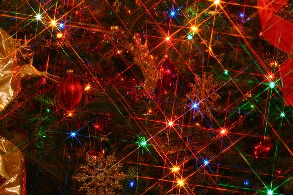 A close-up shot of a Christmas tree