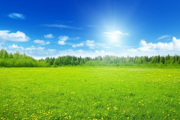 Paesaggio di prato verde e Valle