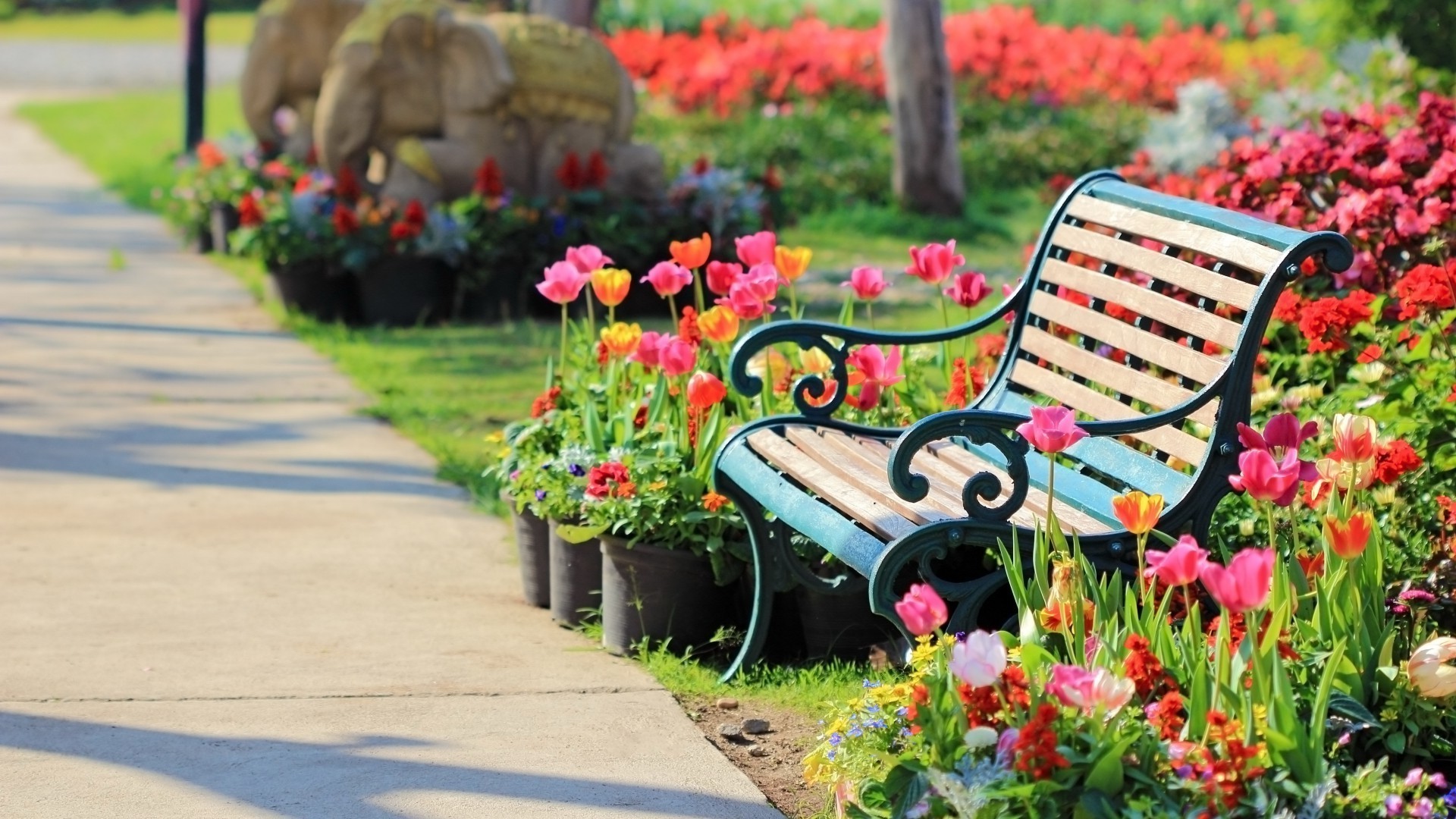 parks flower garden bench summer flora nature leaf grass park chair yard outdoors color lawn tree outside