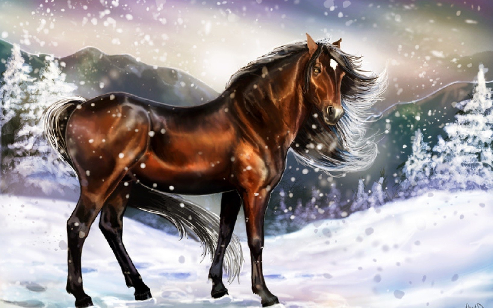 horses snow winter horse mammal cold animal mare