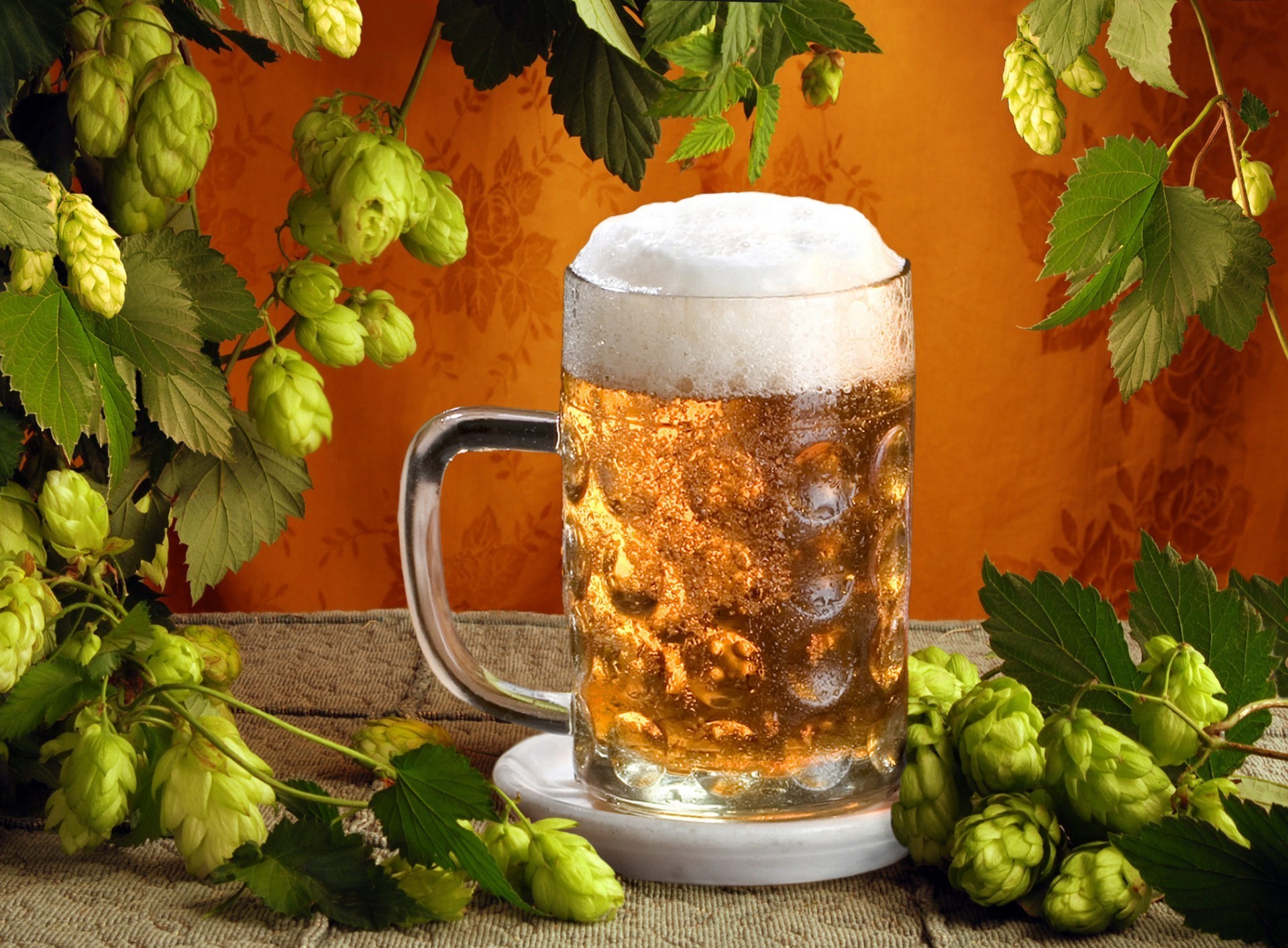 drinks beer brewery glass drink food leaf hop alcohol healthy table brew health pub wood