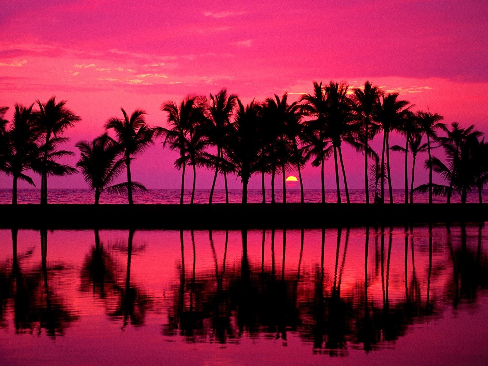 the sunset and sunrise sunset beach silhouette water dawn ocean dusk evening sun sea backlit tropical palm seashore sky seascape summer landscape bay