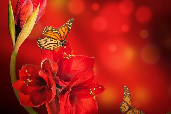 Belles fleurs rouges avec des papillons