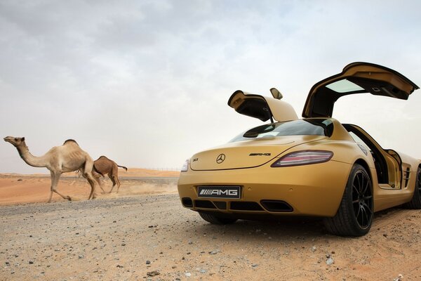 A car at an exhibition in the desert sands