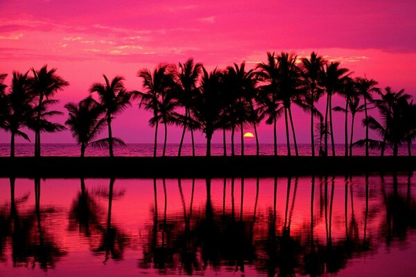 Magnificent sunset with reflection in the water