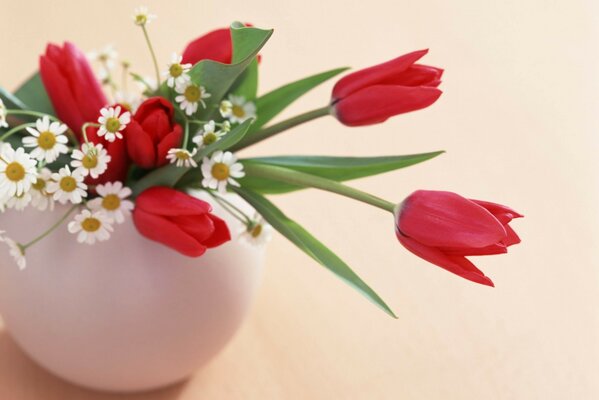 Weißer Krug mit roten Tulpen und Gänseblümchen