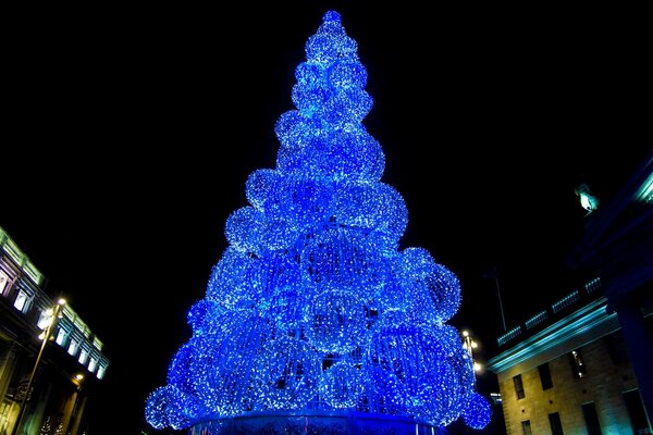 户外圣诞树由发光的蓝色球