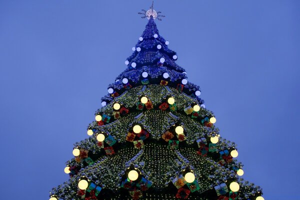 A huge Christmas tree decorated with lights