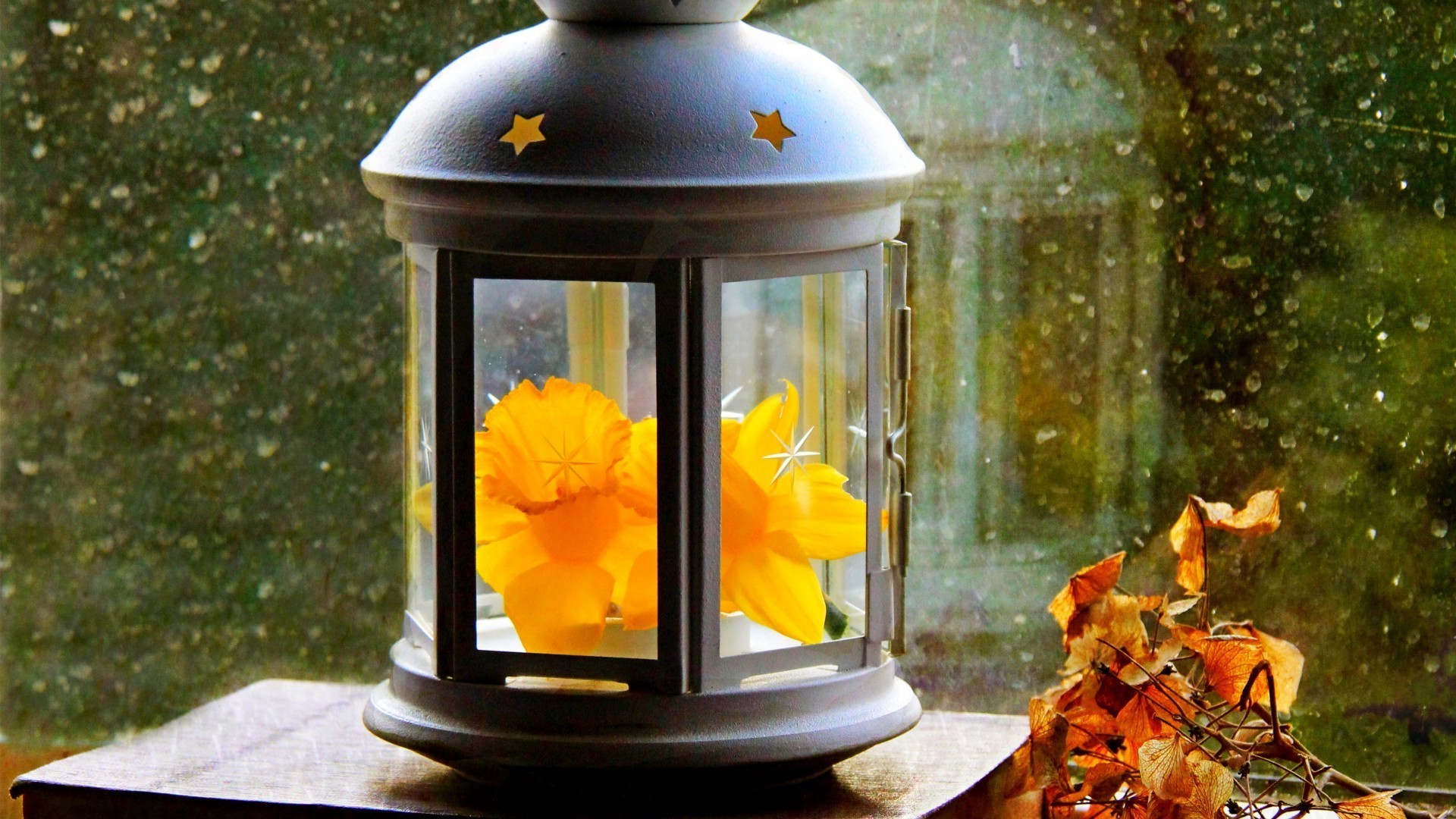 leaves flower wood lantern table decoration light daylight