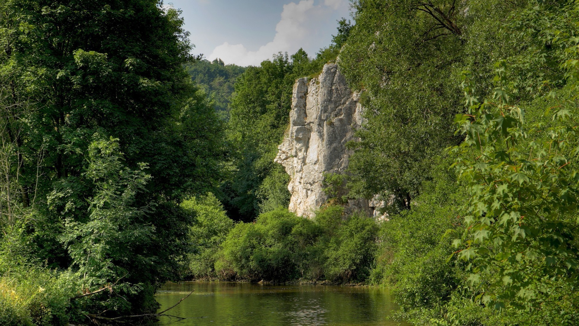 paesaggio acqua natura albero paesaggio legno fiume all aperto viaggi scenic estate lago cielo montagna foglia