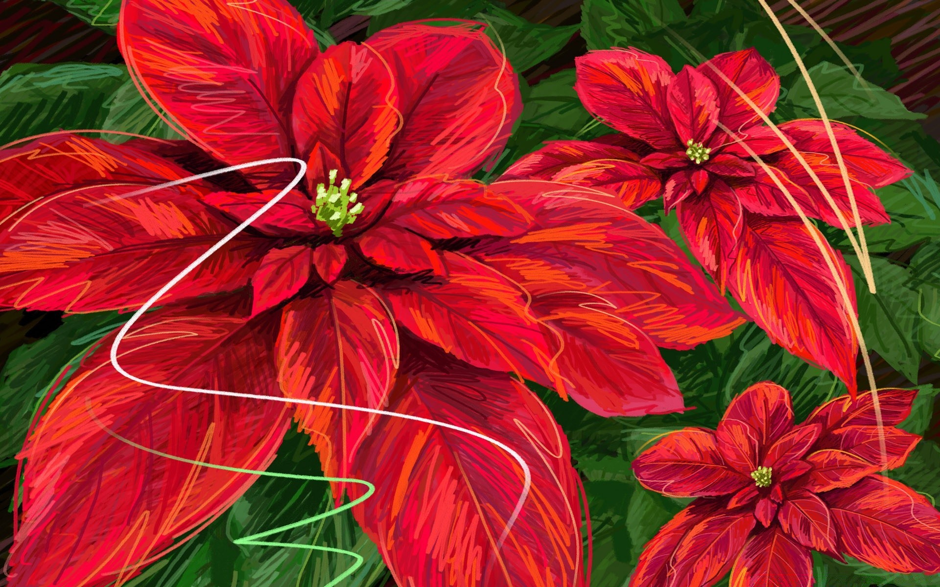 noël nature fleur flore feuille été jardin floral belle couleur pétale décoration bluming tropical lumineux botanique saison croissance