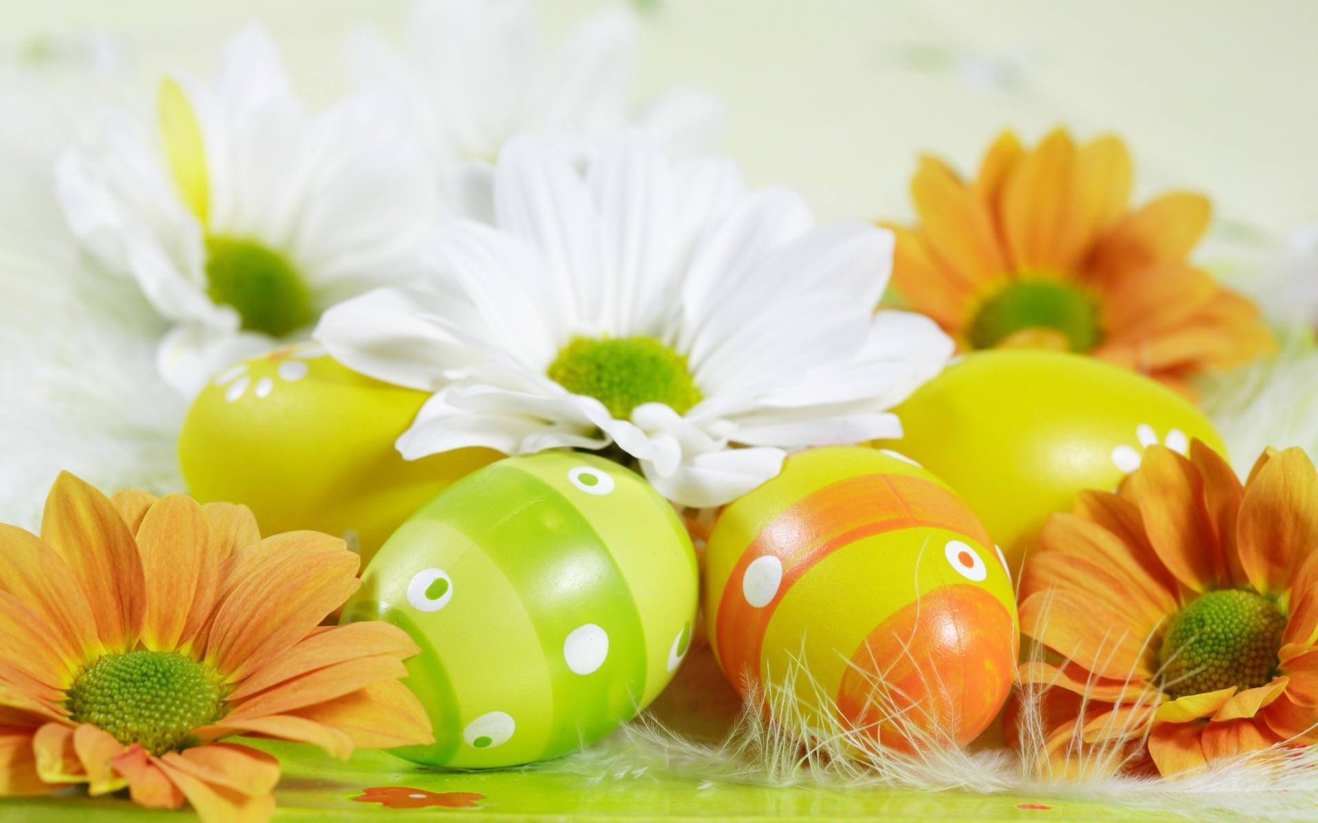 easter nature flower leaf health bright summer healthy