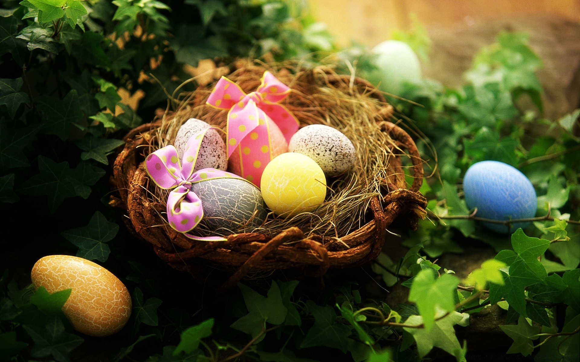 pascua nido huevo comida cesta decoración naturaleza vacaciones color tradicional escritorio huevo de pascua temporada