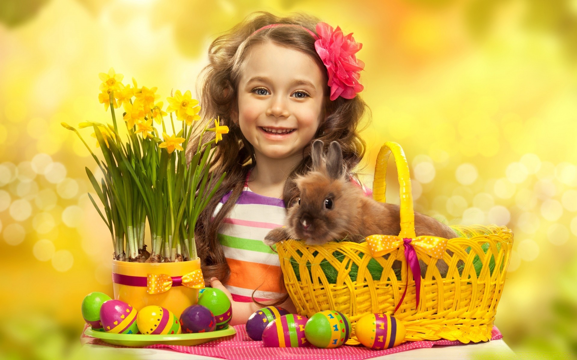 pasqua cesto carino natura piccolo giovane erba piacere uno fiore