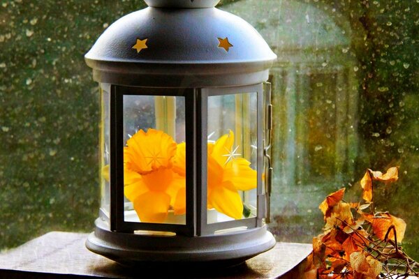 Leaves and a flower inside the lantern