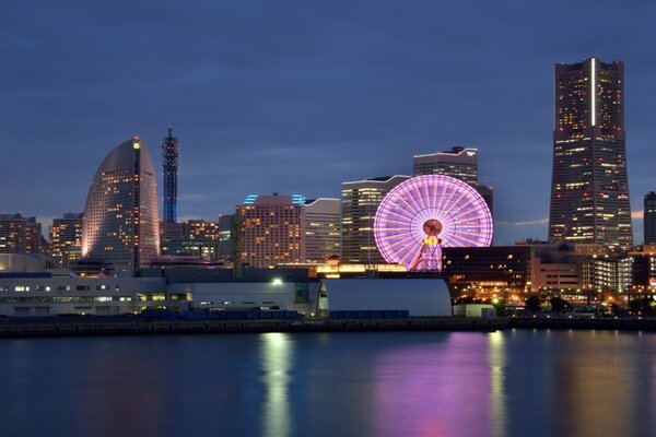 The city at night