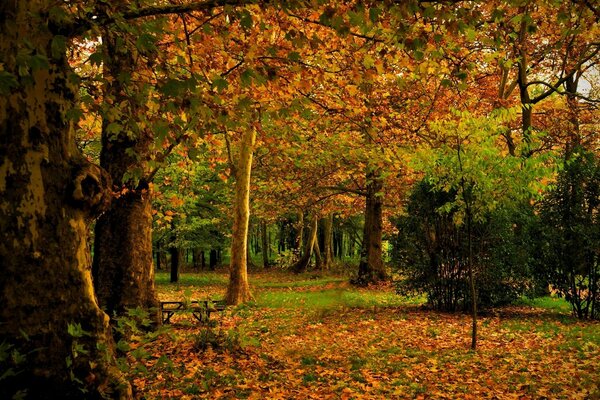 Herbstzeit der Augen Verzauberung