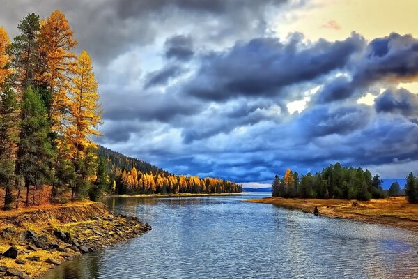 Riflessione della natura nell acqua del fiume