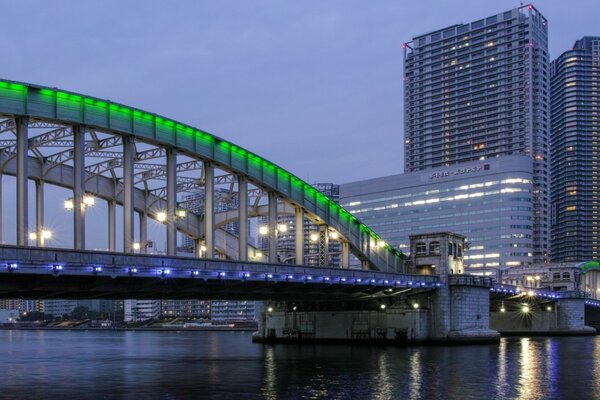 Architektonische Brücke im Hintergrund der Stadt