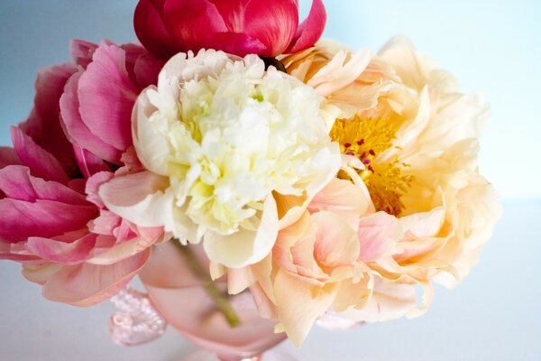 Delicate bouquet of multicolored flowers