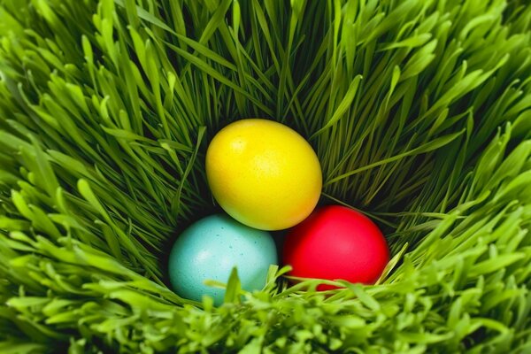 Huevos de Pascua brillantes en hierba verde