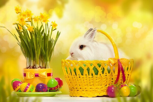 Lapin de Pâques assis dans un panier