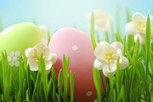 Composition with Easter eggs in green grass