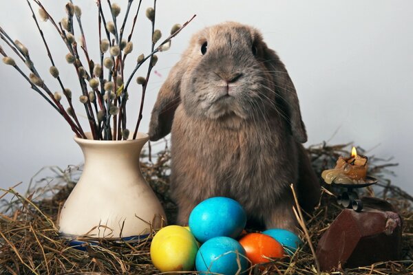 Lapin de Pâques garde les oeufs